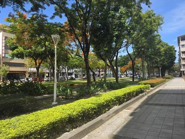 駁二特區捷運站300公尺*綠廊巷道*正四樓透天｜高雄市鹽埕區光榮街