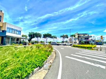 正線東路田｜彰化縣和美鎮彰新路四段