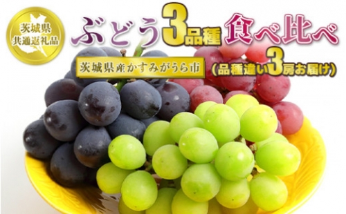 ぶどう3品種 食べ比べ3房 3種 セット ぶどう ブドウ 葡萄 果物 フルーツ お取り寄せ ※2023年8月下旬頃より順次発送予定