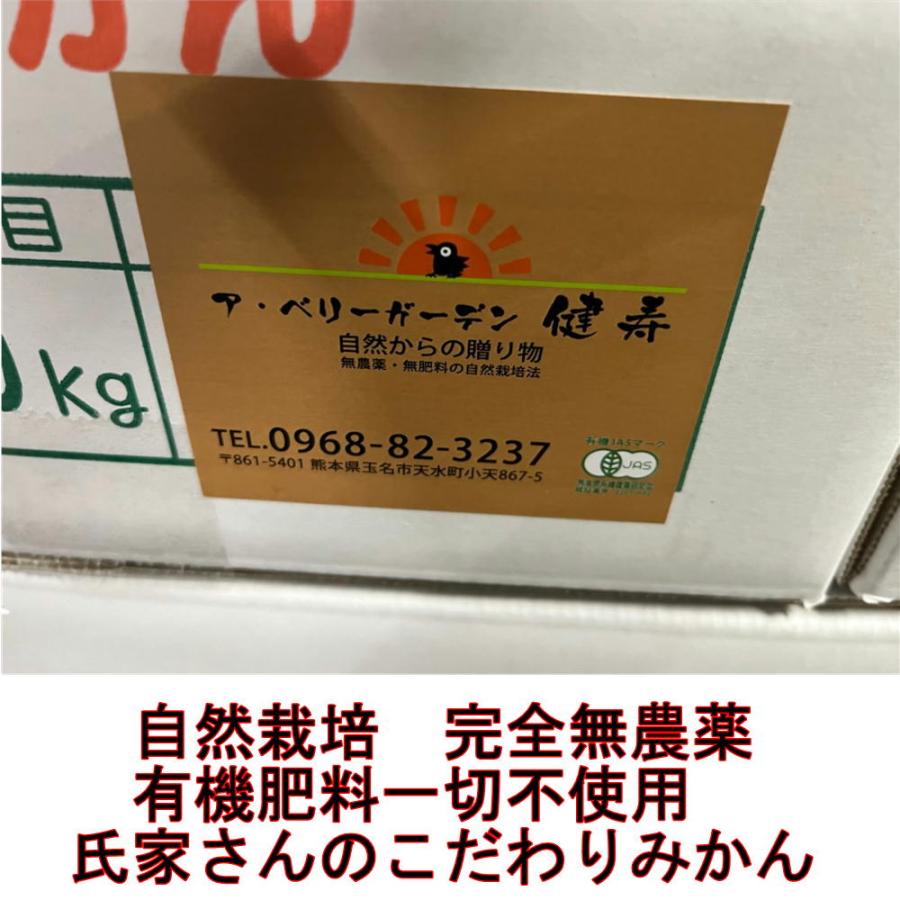 自然栽培　無農薬みかん　約5ｋｇ　訳あり　氏家さんの完全無農薬みかん　有機肥料一切不使用　完全無農薬　有機栽培　みかん　ミカン　蜜柑　無農薬　80サイズ