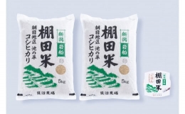 新潟県岩船産 棚田米コシヒカリ 玄米10kg ＋ 棚田米コシヒカリのパックごはん(150g×1個)×4ヶ月 1067039