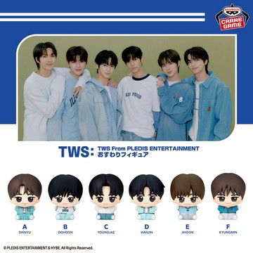 🌀日版客🌀 日版 TWS From PLEDIS ENTERTAINMENT 申惟 道勳 英宰 韓振 志薰 炅潣 公仔