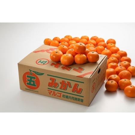 ふるさと納税 マルゴみかん 秀品 約5kg （S〜L） ／ JA伊勢 完熟栽培 温州みかん 蜜柑 フルーツ 果物 三重県 南伊勢町 三重県南伊勢町