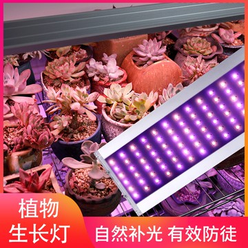 植物照燈 晚立雪多肉補光燈上色全光譜室內仿太陽補光燈家用植物生長燈排【MJ5573】