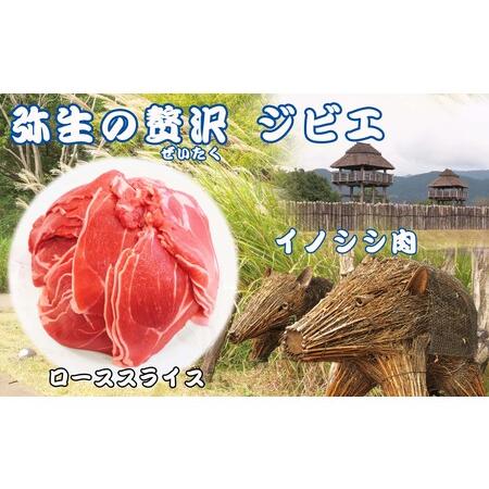 ふるさと納税 脊振ジビエ イノシシ肉(ローススライス肉)800g (H072118) 佐賀県神埼市