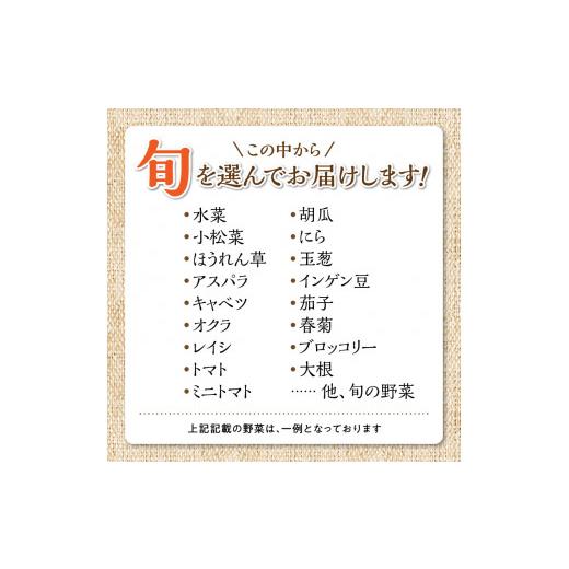 ふるさと納税 福岡県 久留米市 福岡県久留米市産　新鮮野菜セット