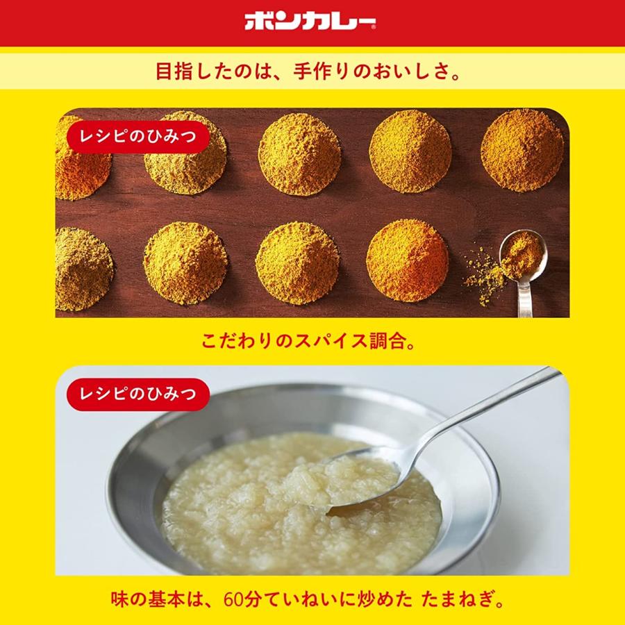 10個セット  大塚食品 ボンカレー ゴールド 辛口 180g