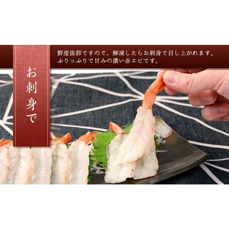 エビ 刺身 赤エビ100尾（20尾入×5パック）殻むき済 送料無料 海鮮丼 yd5[[赤えび20尾-5p]