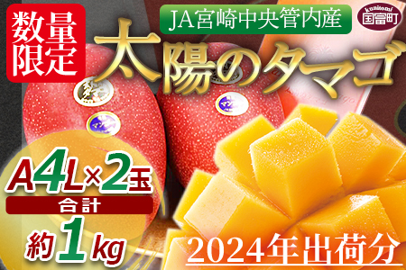 予約受付！数量限定！＜宮崎県産 太陽のタマゴ A等級 4Lサイズ×2玉（合計約1kg）＞2024年4月下旬～6月末迄に順次出荷