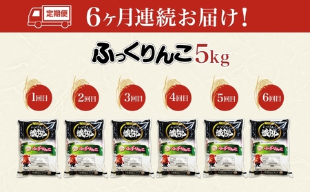 北海道 定期便 6ヵ月連続6回 木古内産 ふっくりんこ 5kg 特A 精米 米 お米 白米 北海道米 道産米 ブランド米 ごはん ご飯 ふっくら 産地直送 木古内公益振興社 送料無料