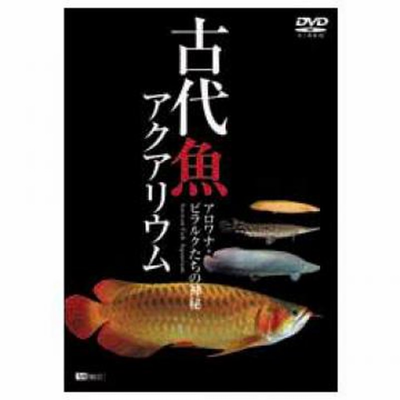 古代魚アクアリウム アロワナ ピラルクたちの世界 Sda39 通販 Lineポイント最大0 5 Get Lineショッピング