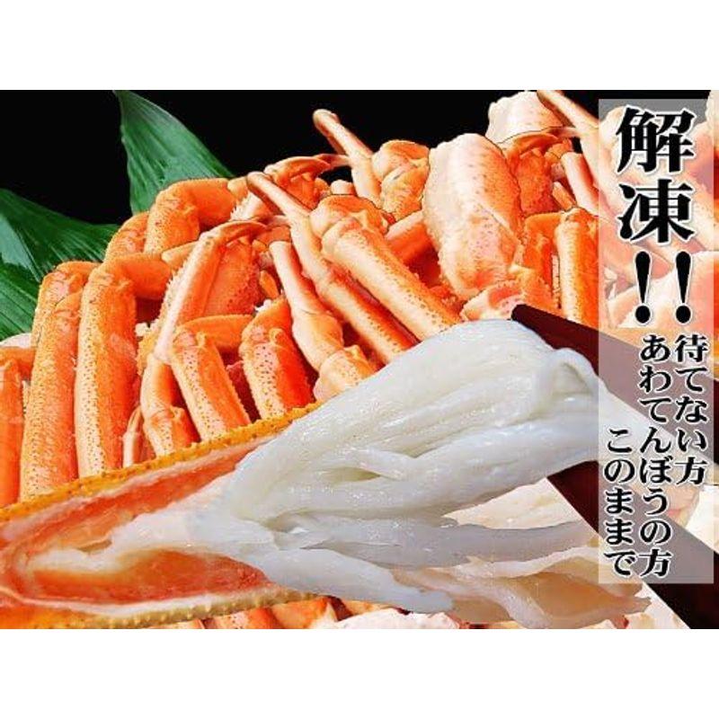 ボイル ズワイガニ 足 2kg (約5?6肩前後入) (ノルウェー・ロシア産) (2kg)