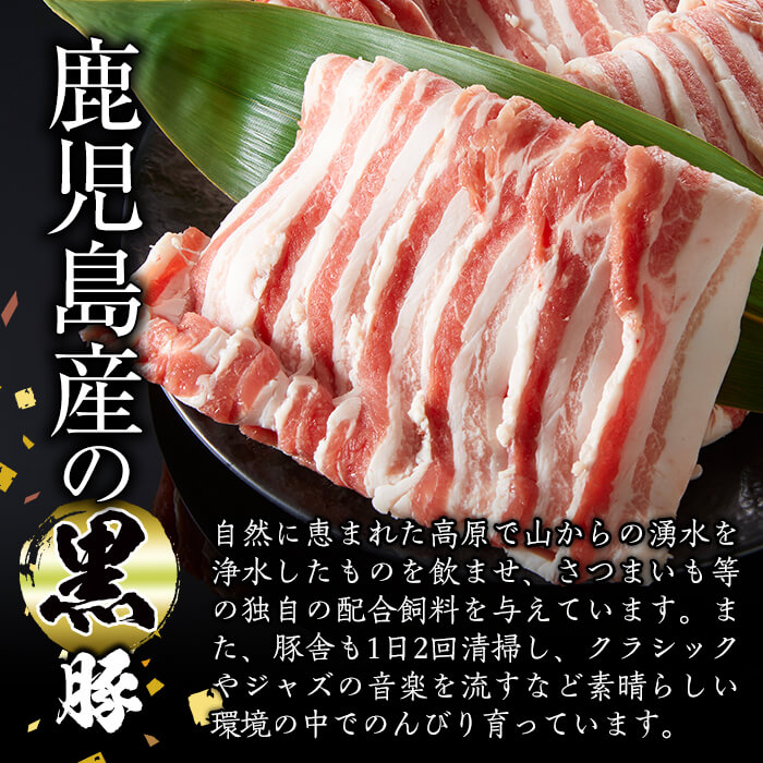 かごしま黒豚ロースとんかつ用(計1kg・約100g×10枚)