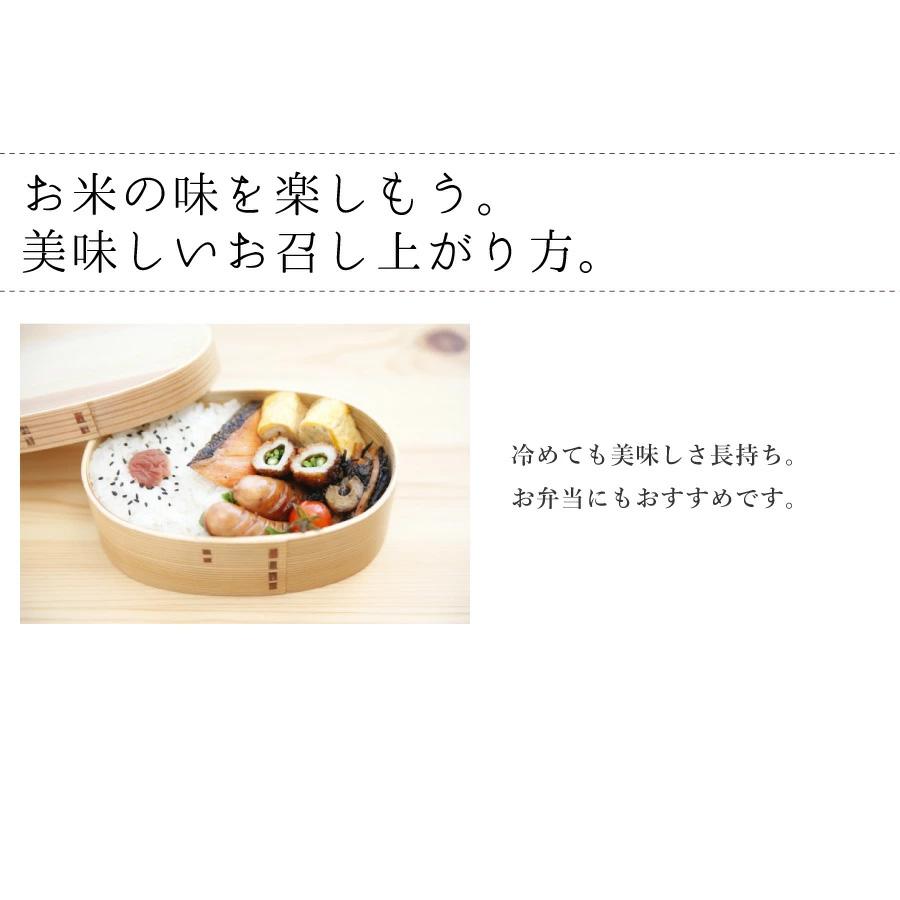 本日クーポンで5％OFF ななつぼし 無洗米 5kg 特別栽培米 新米 令和5年産 北海道産 米 農家直送 特A 減農薬 2023年産 送料無料