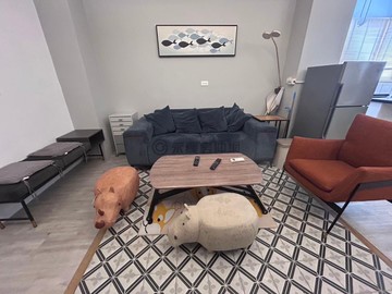 【專】花蓮【前站雅緻２房裝潢美】華廈｜花蓮縣花蓮市國盛八街