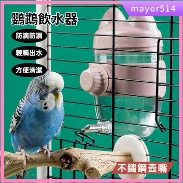 🔥台灣現貨🔥鳥用飲水器 掛籠設計 懸掛式 鳥用自動飲水器 鸚鵡飲水器 鸚鵡水壺 撞針飲水器 飲水器 320ML大容量