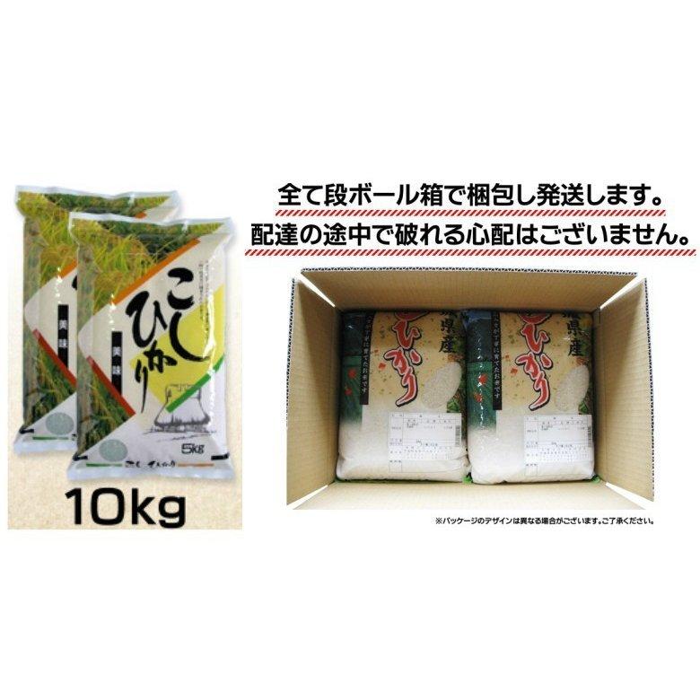 新米 米 10kg お米 コシヒカリ 業務用  茨城県 白米 5年産  送料無料 一部地域除く 梅印