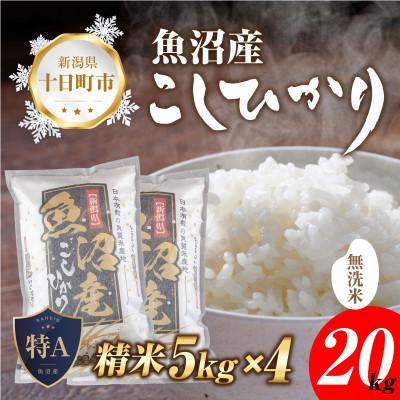 ふるさと納税 十日町市 無洗米  魚沼産 コシヒカリ 20kg 美味しい炊き方ガイド付き