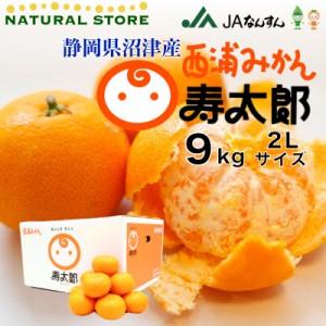 [予約 2月1日から3月20日のご納品] 寿太郎 寿太郎みかん 西浦ミカン寿太郎 9kg 2L 青島みかん 静岡県 西浦 青島 西浦みかん 箱買い 寿太