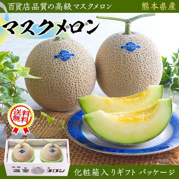 メロン マスクメロン 2玉 1.5kg×2 めろん 贈答用 果物の王様 敬老の日 ギフト 高級品 プレミアム プレゼント フルーツ お取り寄せ 記念 熨斗対応 ギフト広場