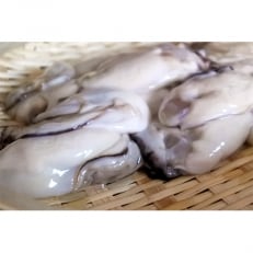 冷凍むき身牡蠣(加熱調理用)約1kg×1袋