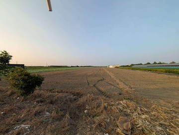 雲林虎尾近高鐵方正美農地｜雲林縣虎尾鎮新墾地段