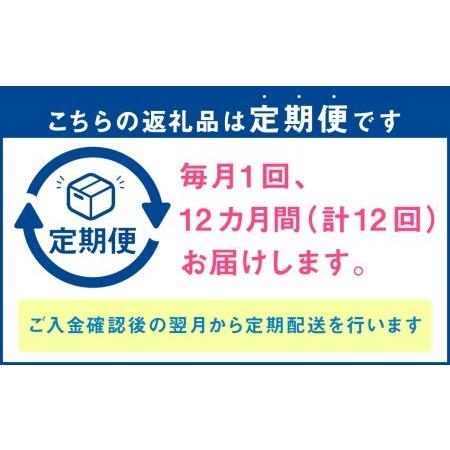 ふるさと納税 野菜のプロ40年が届ける 厳選野菜セット！ 野菜・フルーツ 15〜16品目 詰め合わせ 長崎県時津町