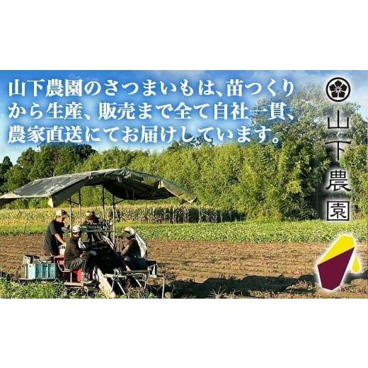 ふるさと納税 宮崎県 都城市 山下農園　熟成シルクスイート 10kg 都城産 シルクスイート さつまいも サイズ未選別 長期熟成_AA-I702