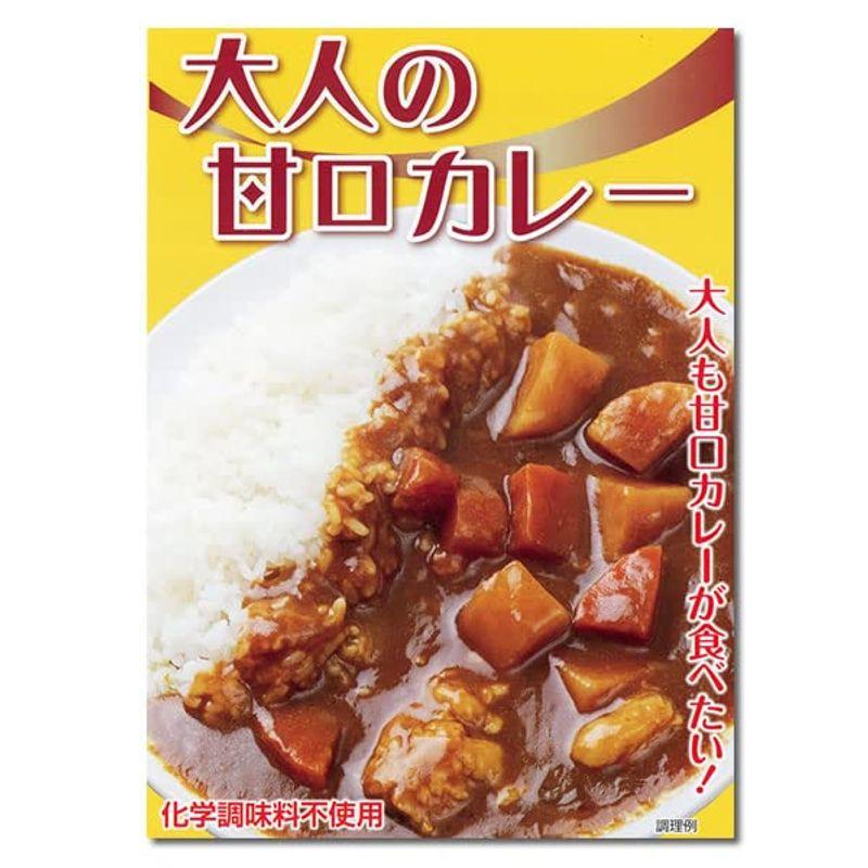 大人の甘口カレー（ビーフカレー） 10食まとめ買いセット 化学調味料不使用 国産野菜使用