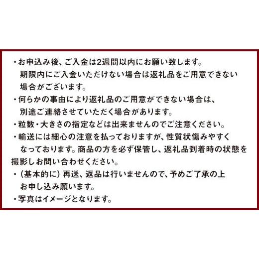 ふるさと納税 福岡県 遠賀町 数量限定 福岡県産 あまおう 270g×4パック