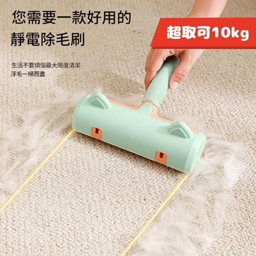 免運🍀現貨 寵物除毛神器🍀刷毛 雙向除毛刷 狗毛貓毛清理器 除毛神器 寵物毛發清理器 家用衣服床上地毯刷