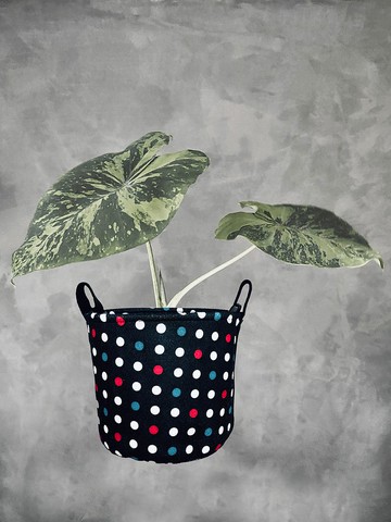 BLR 植物袋 水玉點點 CZ04 植栽置物袋