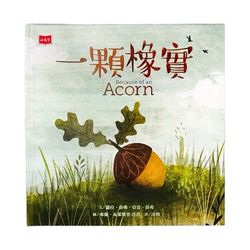 小天下 一顆橡實  未來少年