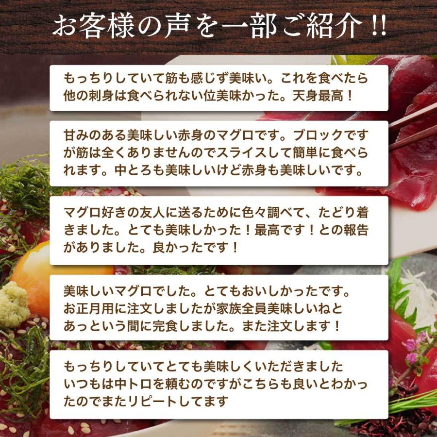 マグロ 刺身 訳あり 赤身 年末 年始 ごちそう 冷凍マグロ 天然南まぐろ天身500g　筋少なめ