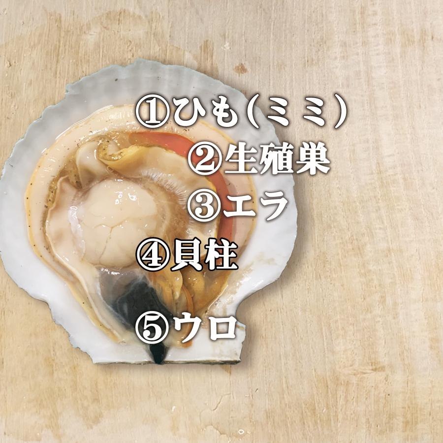 ホタテ 殻付き 活ホタテ 北海道 お歳暮 お取り寄せ 2キロ