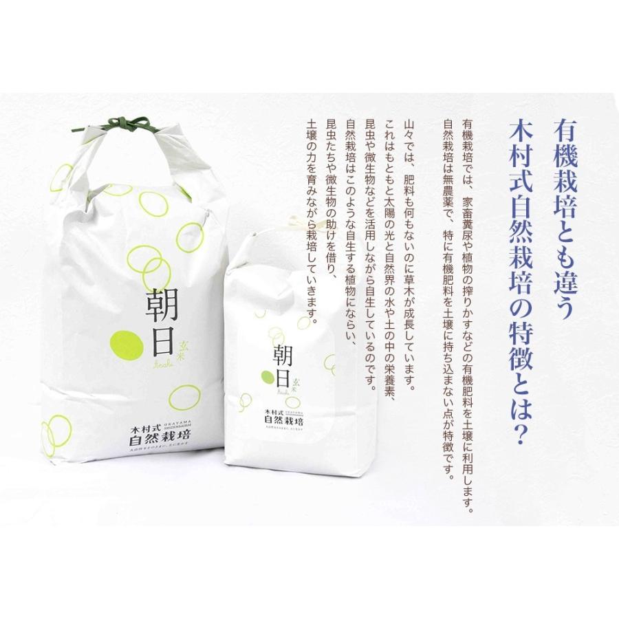 自然栽培 玄米 朝日米 木村式 自然栽培米 7kg  農薬不使用 除草剤不使用　肥料不使用