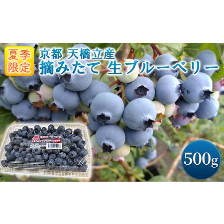 ふるさと納税 《夏季限定》摘みたて 生ブルーベリー 500g　京都 天橋立産  京都府宮津市