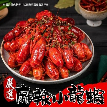 [ 誠實討海人]  麻辣小龍蝦 (750g/實物500g/盒)