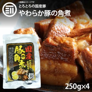 [前田家]  やわらかとろとろ 豚角煮 1kg (250gx4袋) 国産豚 豚の角煮 煮豚 煮込み料理 レトルト 惣菜 煮物 おかず 常温 食品 おつまみ 酒