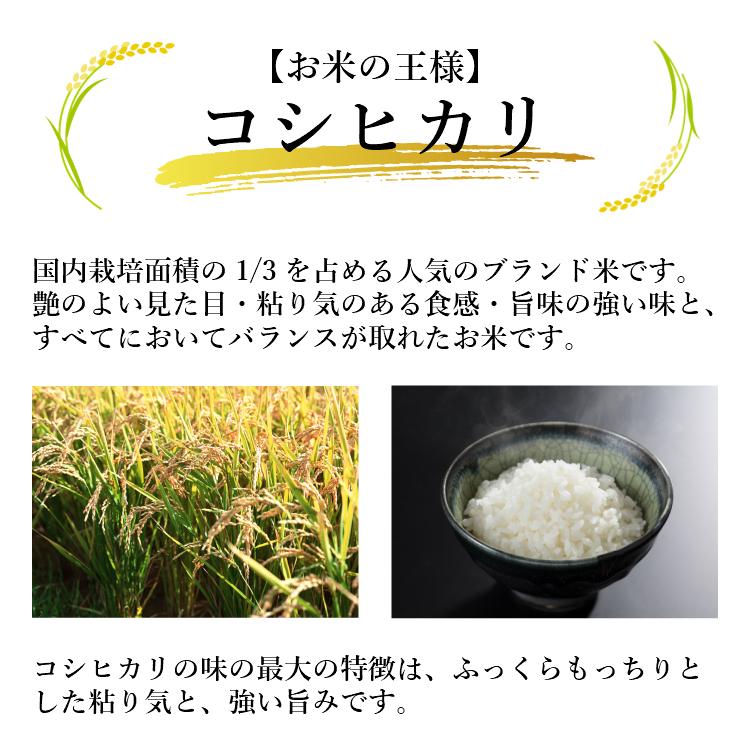 お米 コシヒカリ 精白米 10kg 会津産 送料無料 令和5年産 2023年産 こしひかり 米 こめ 精米