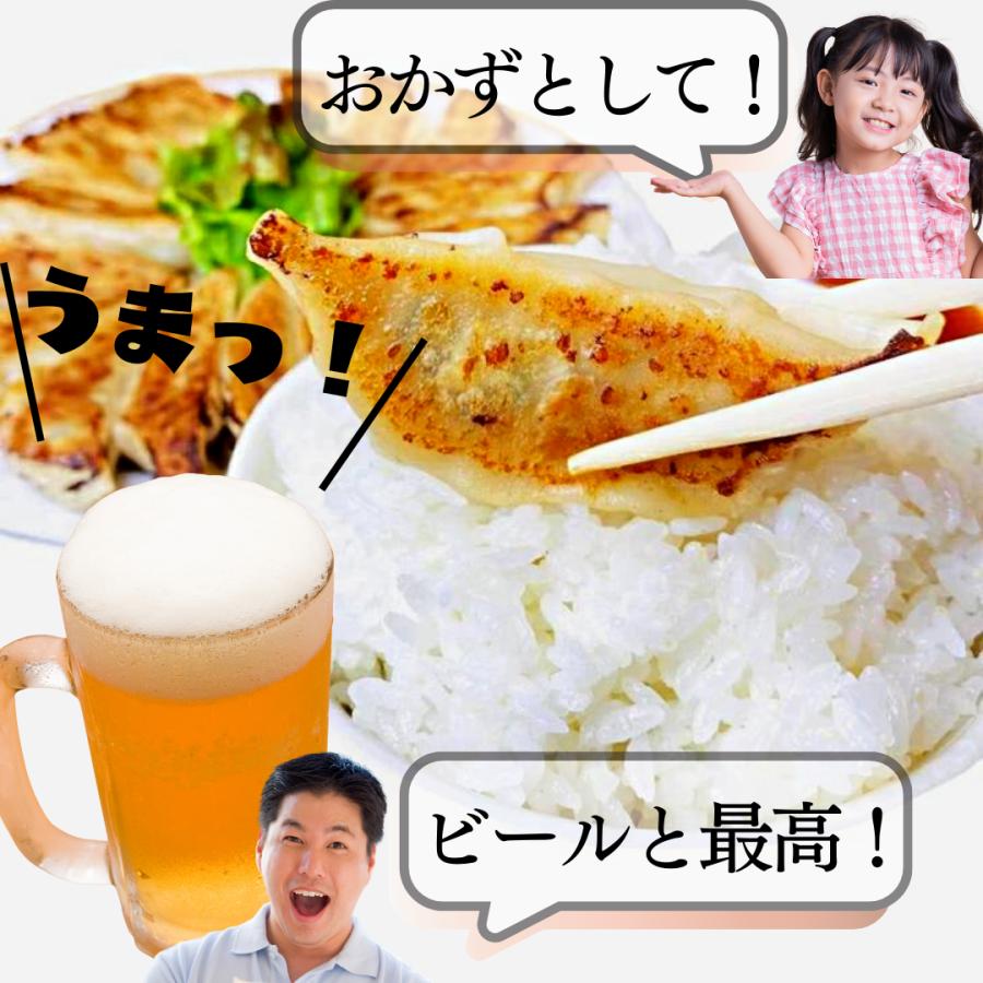 30％offクーポン配布中「生餃子48個入とにんにく餃子48個入り送料無料  大きいサイズ     工場直売 ぎょうざ ギョウザ ギョーザ ギフト業務用