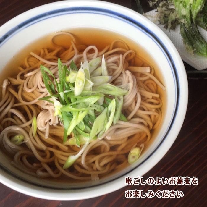 蕎麦 そば セット わらび 山菜 蕨 蕎麦 セット 10セット 新潟県 お土産 おみやげ 三条市 下田 そば 送料無料 美味しい おいしい 人気