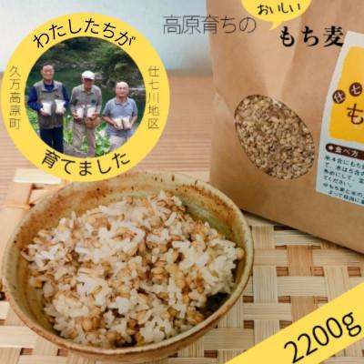 ふるさと納税 久万高原町 清流と綺麗な土が育て、イナキ干しで仕上げた美味しいもち麦