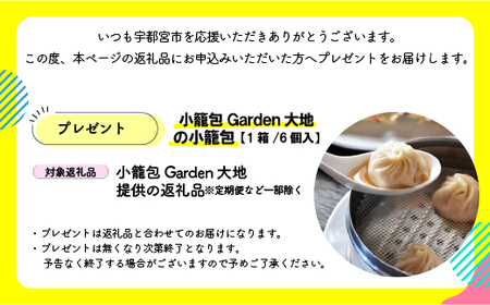 これが大地の小籠包です　計18個入り(1箱6個入り×3箱)