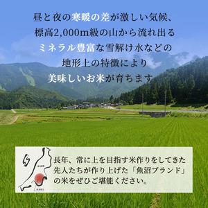 ふるさと納税 令和5年産 無洗米 お米マイスター厳選 魚沼産 コシヒカリ 100％ 3kg 米 お米 こめ コメ おこめ 白米 こしひかり 新潟県魚沼市