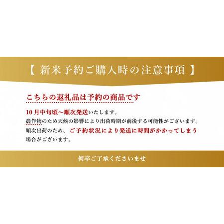 ふるさと納税 新米 令和5年産 森のくまさん 白米27kg（27kg×1袋） 熊本県和水町