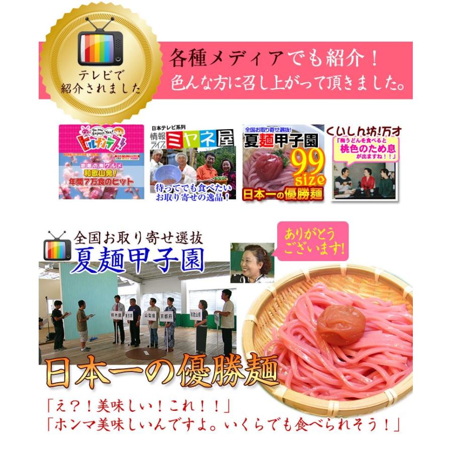 紀州南高梅肉を独自の製法で麺に練り込みました！大盛 丸ざる冷し梅うどん（麺、めんつゆ、梅干し、丸ざる付（麺150g）　(fy2)