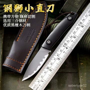 意大利鋼獅小直刀高硬度鋒利小刀戶外刀一體野外生存刀隨身戰術刀 RJON