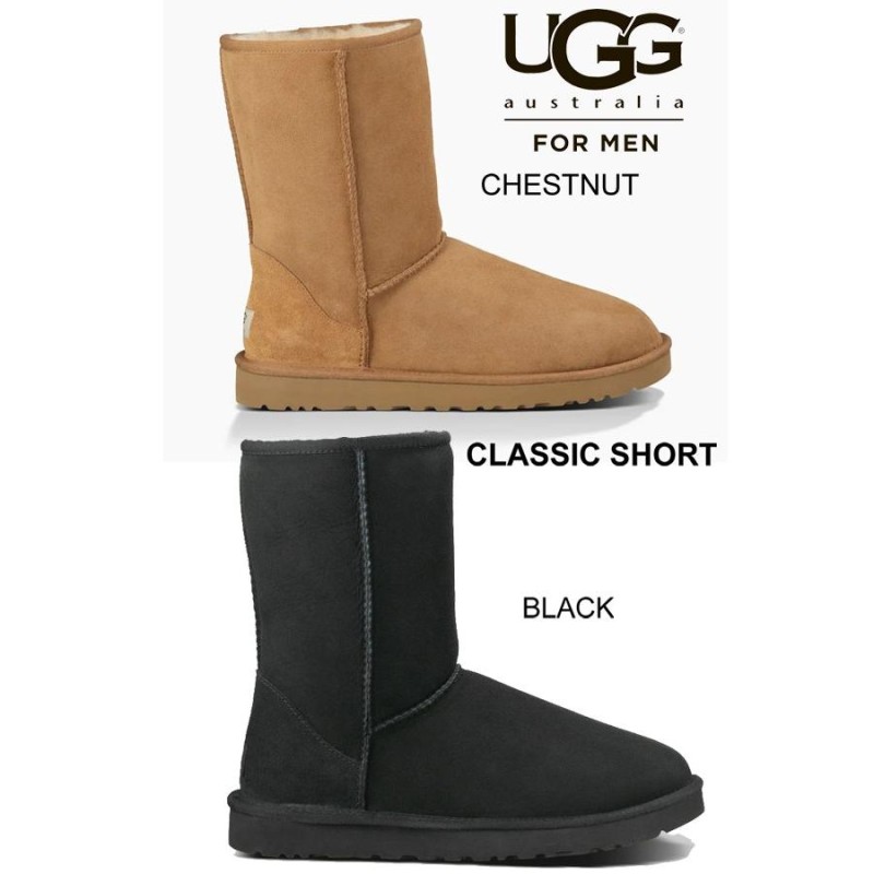 アグ メンズ ムートンブーツ クラシック ショート UGG MENS CLASSIC