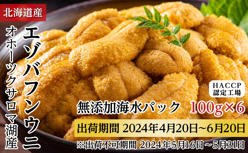 サロマ湖産 無添加 バフンウニ 600g（100g×6）海水パック［2024年4月下旬出荷開始先行予約］ 北海道 オホーツク 佐呂間町 ウニ うに 海鮮